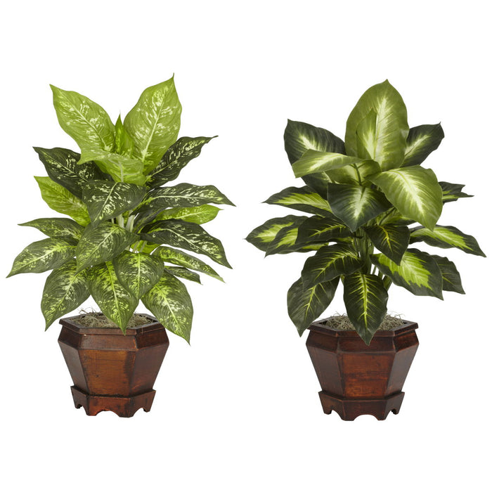 Golden Dieffenbachia w/Wood Vase Silk Plant - Assorted