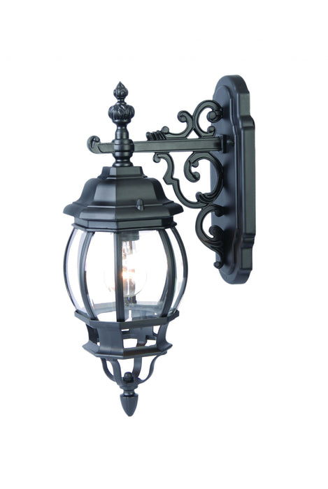 Hanging Glass Globe Wall Light - Matte Black