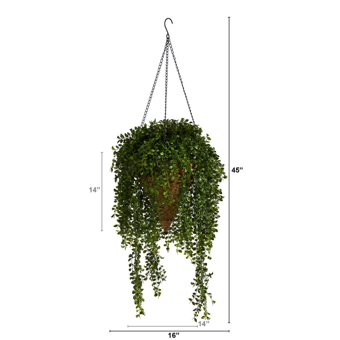 45" Gleditsia Plant in Hanging Basket UV (Indoor/Outdoor)