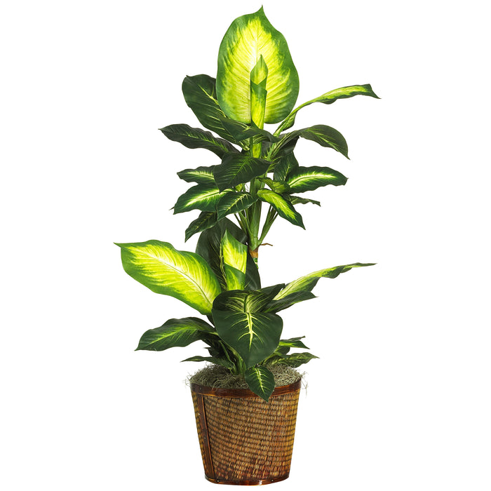 42" Golden Dieffenbachia w/Basket Silk Plant