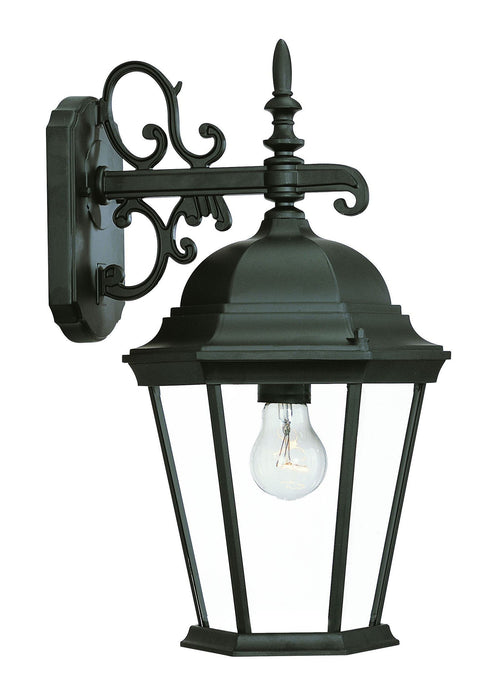 Domed Glass Hanging Lantern Wall Light - Matte Black