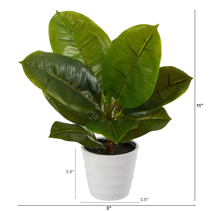 11" Rubber Leaf Plant in White Planter (Real Touch)