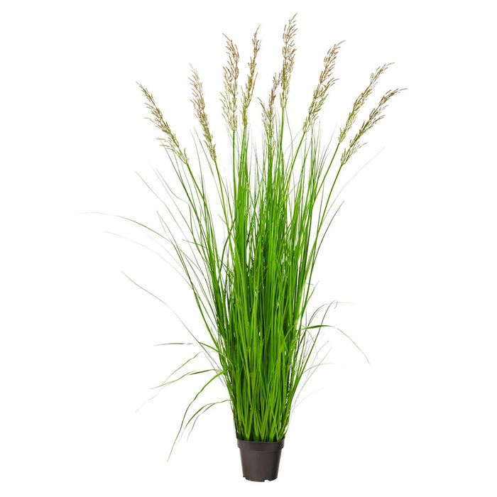 5.5' Plum Grass Artificial Plant