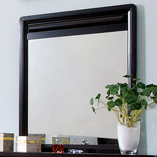 Winsor - Mirror - Espresso - Simple Home Plus