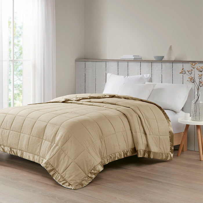 Cambria - Twin Premium Oversized Hypoallergenic Down Alternative Blanket With 3M Moisture Treatment - Taupe