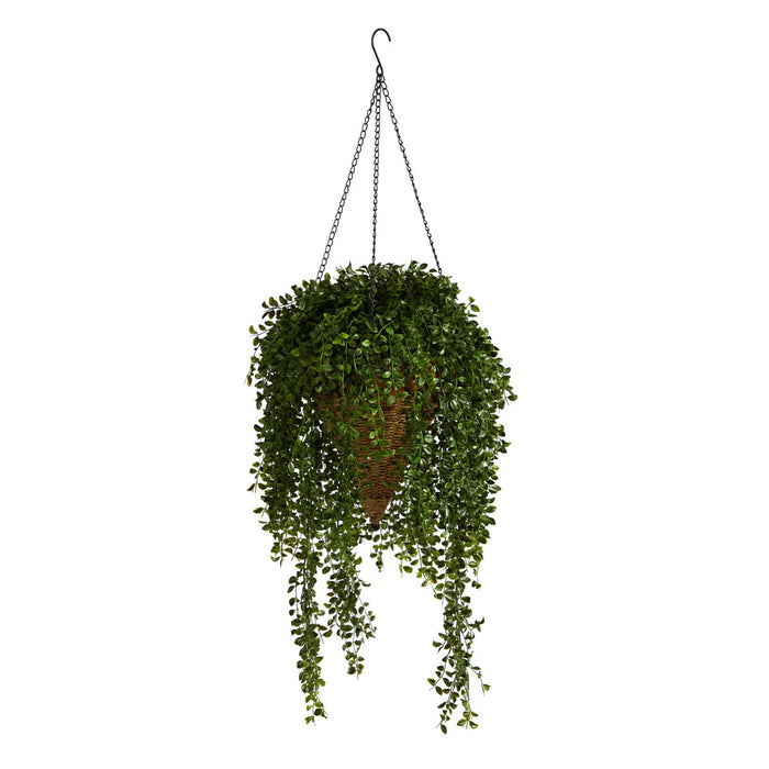 45" Gleditsia Plant in Hanging Basket UV (Indoor/Outdoor)