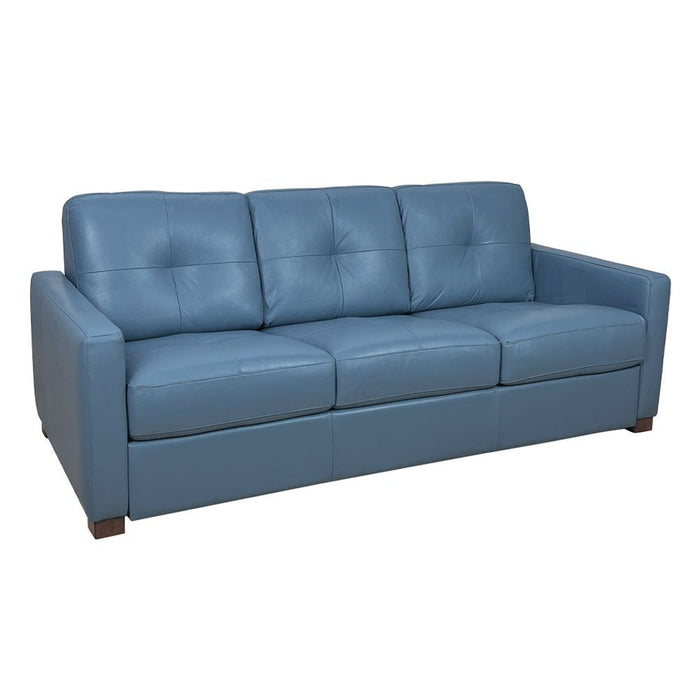 Leather Sleeper Sofa - Blue / Black