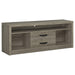 Burke - 2-Drawer TV Console - Gray Driftwood - Simple Home Plus