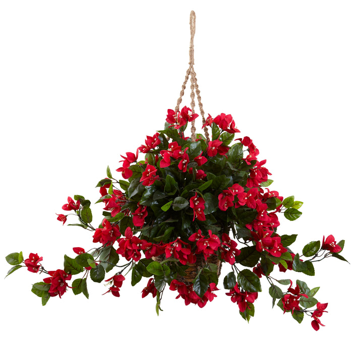 Bougainvillea Hanging Bskt UV Resistant (Indoor/Outdoor) Red