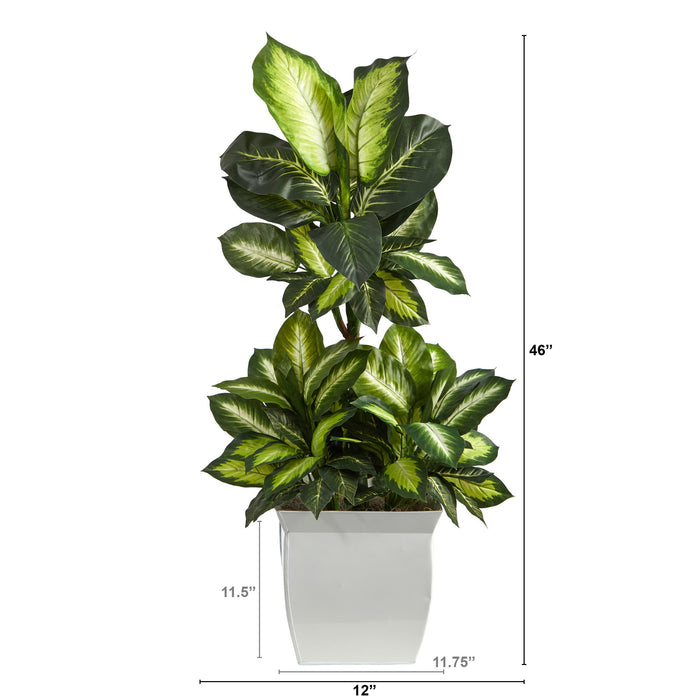 46" Golden Dieffenbachia Plant in White Metal Planter