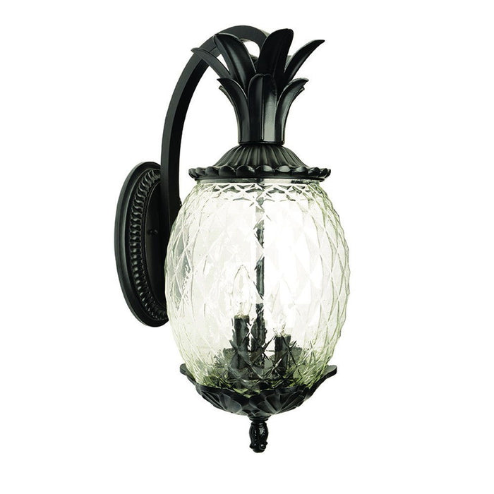 Hanging Pineapple Wall Light - Matte Black