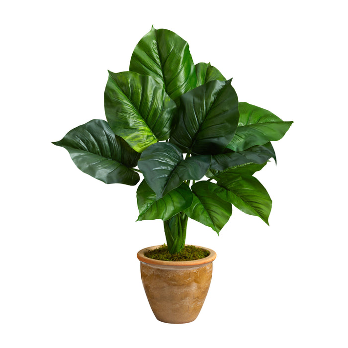 30" Large Philodendron Leaf Plant in Decorative Planter