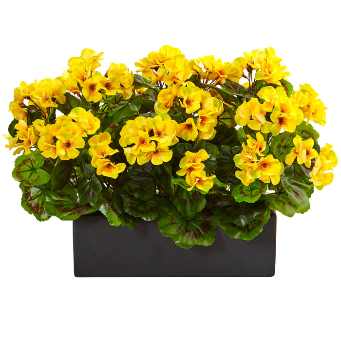 13" Geranium in Planter UV Resistant (Indoor/Outdoor) Yellow