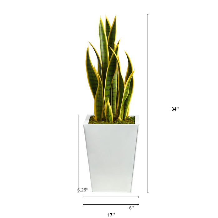 31" Sansevieria Artificial Plant in Black Metal Planter