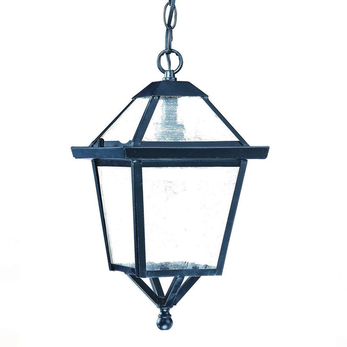 Hanging Lantern Light - Matte Black