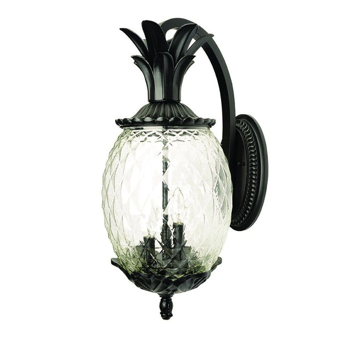 Hanging Pineapple Wall Light - Matte Black