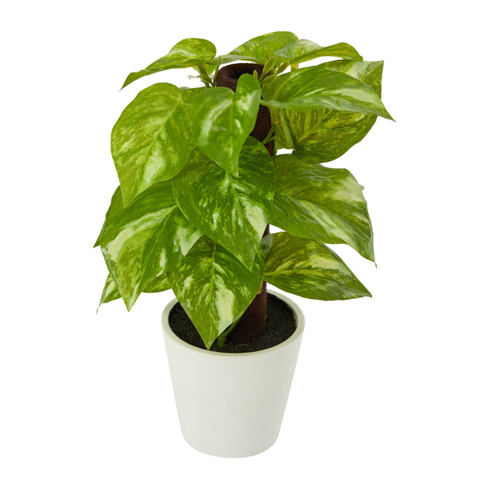 9" Pothos Artificial Plant in White Planter (Real Touch)