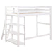 Anica - Workstation Loft Bed - Simple Home Plus