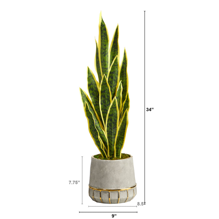 34" Sansevieria Plant in Stoneware Planter w/ Gold Trimming