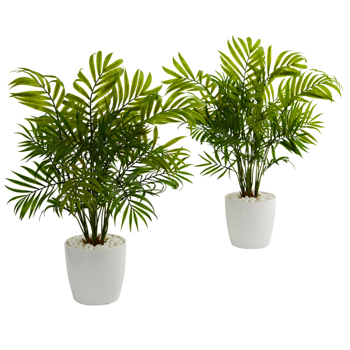 19.5" Palms in White Planter (Set of 2)