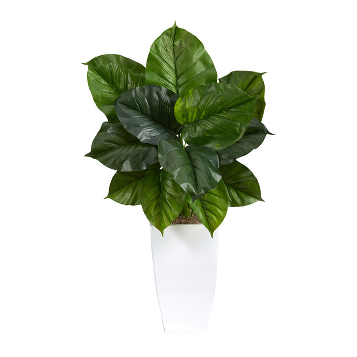 34" Large Philodendron Leaf Plant in White Metal Planter