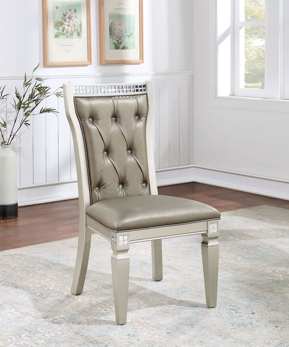 Adelina - Side Chair (Set of 2) - Champagne / Warm Gray - Simple Home Plus