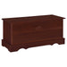 Paula - Rectangular Cedar Chest - Simple Home Plus