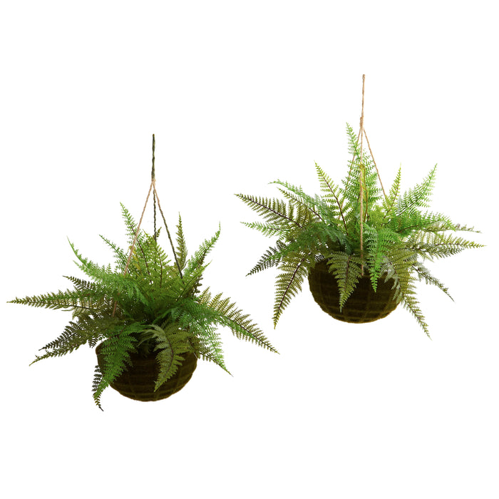 Leather Fern w/Hanging Basket (Indoor/Outdoor) (Set of 2)