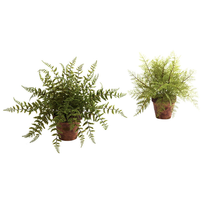 12" Fern w/Decorative Planter (Set of 2)