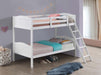 Arlo - Bunk Bed with Ladder - Simple Home Plus