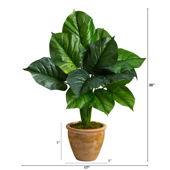 30" Large Philodendron Leaf Plant in Decorative Planter