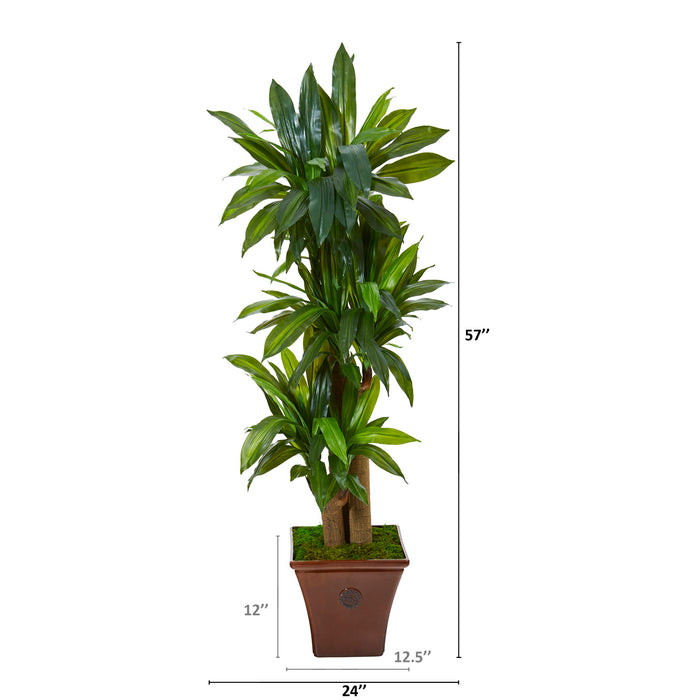 57" Corn Stalk Dracaena Plant in Brown Planter (Real Touch)