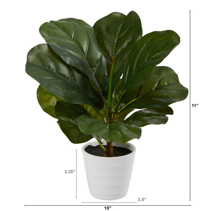 11" Fiddle Leaf Plant in White Planter (Real Touch)