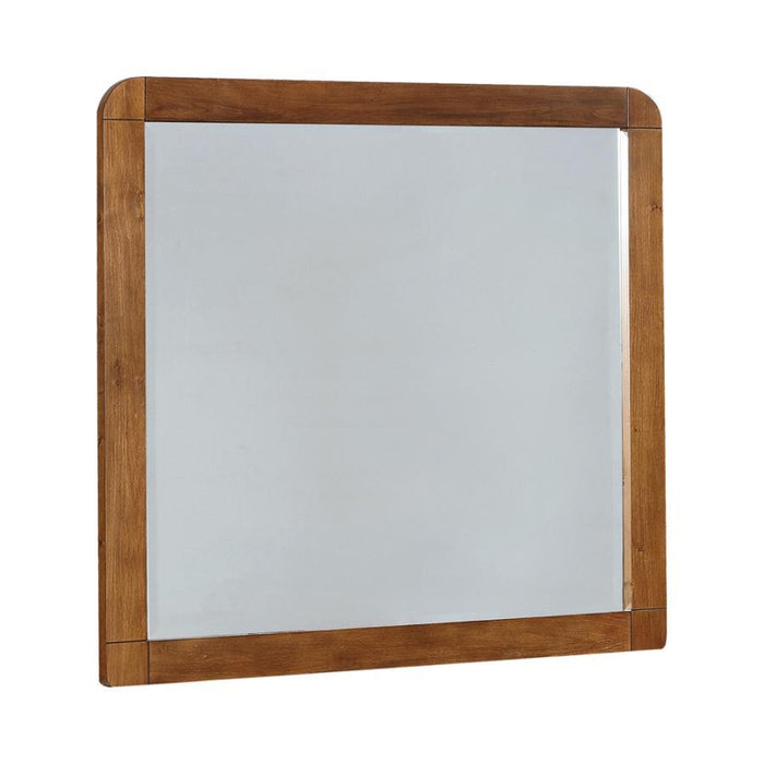 Robyn - Rectangular Dresser Mirror - Dark Walnut - Simple Home Plus