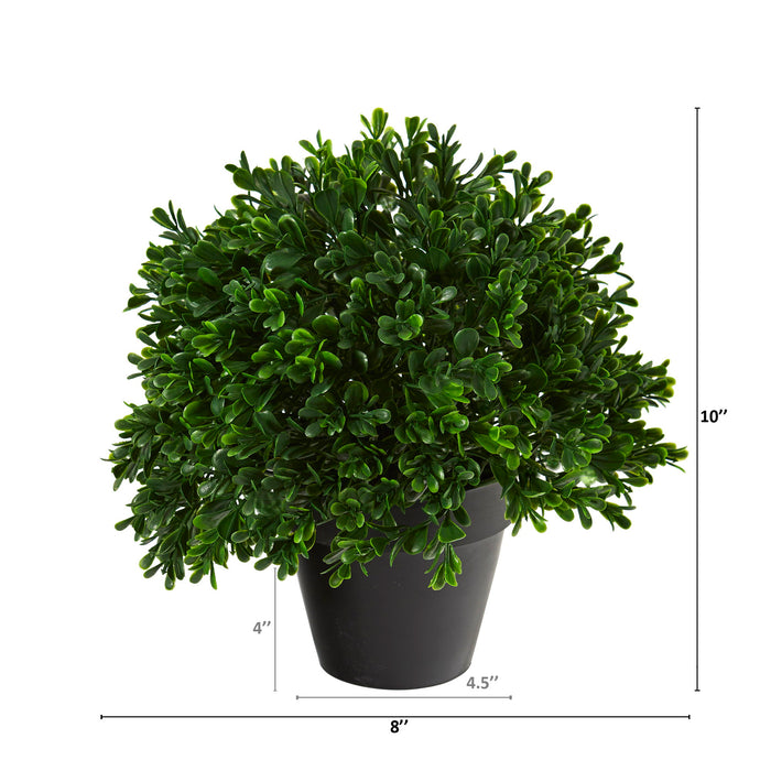 10" Boxwood Topiary Plant UV Resistant (Indoor/Outdoor)