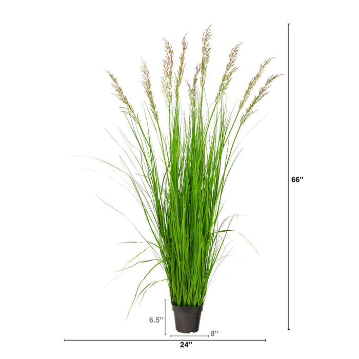 5.5' Plum Grass Artificial Plant