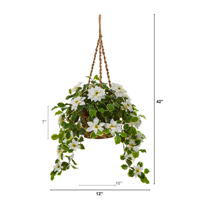 3.5' Poinsettia Holly Plant in Hanging Basket (Real Touch)