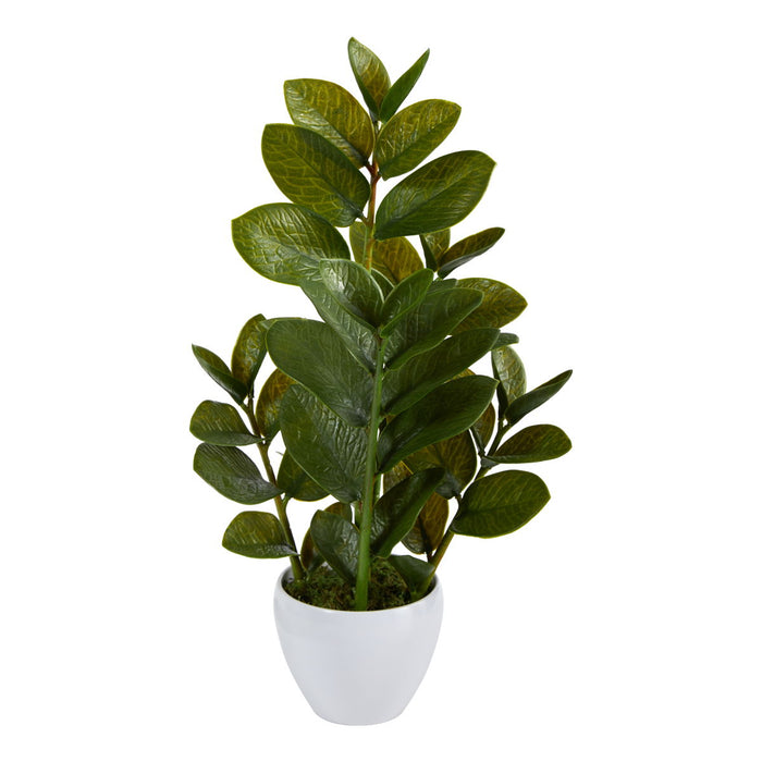 22" Zamioculcas Artificial Plant in White Planter