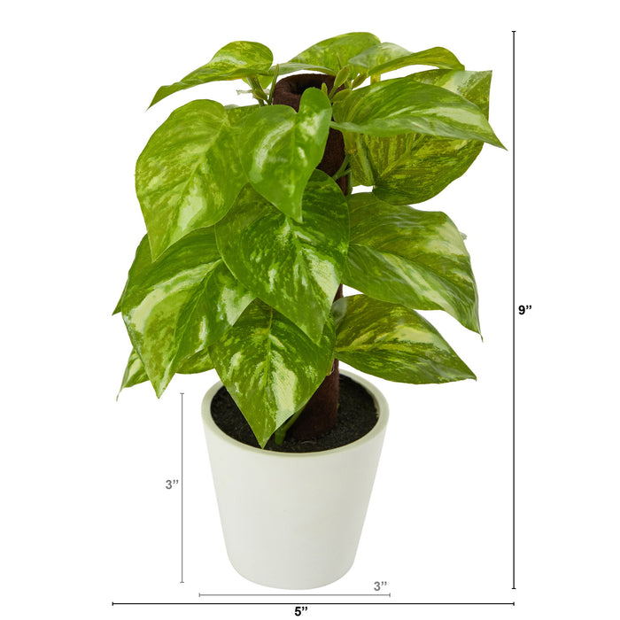 9" Pothos Artificial Plant in White Planter (Real Touch)