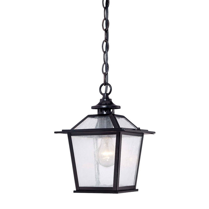 Terrarium Shape Hanging Light - Matte Black