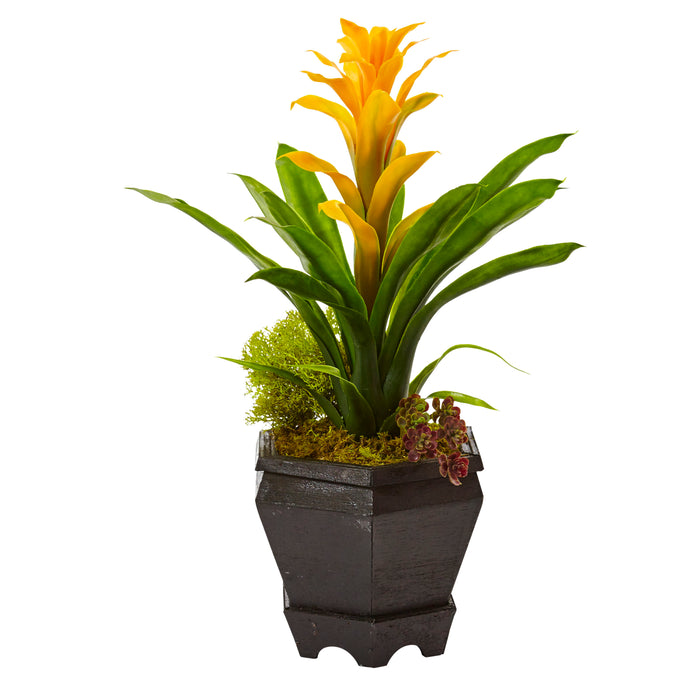 16.5" Bromeliad in Black Hexagon Planter-Yellow