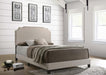 Tamarac - Upholstered Nailhead Bed - Simple Home Plus