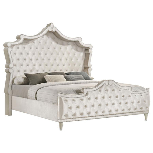 Antonella - Bed - Simple Home Plus