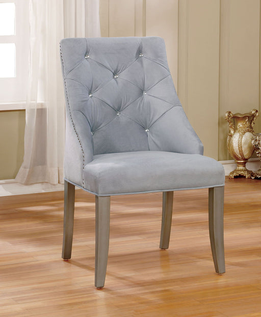 Diocles - Side Chair (Set of 2) - Silver / Gray - Simple Home Plus