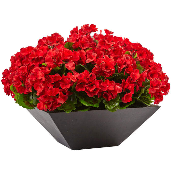 15" Geranium with Black Planter UV Resist (Indoor/Outdoor)