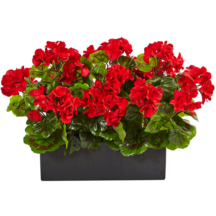 13" Geranium in Planter UV Resistant (Indoor/Outdoor) Red