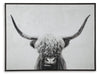 Pancho - Black / White - Wall Art - Simple Home Plus