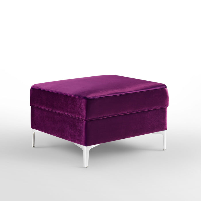 Velvet Storage - Purple / Silver