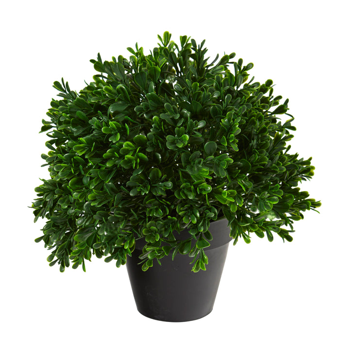 10" Boxwood Topiary Plant UV Resistant (Indoor/Outdoor)