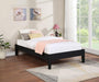 Hounslow - Platform Bed - Simple Home Plus